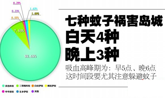 圖示青島常見(jiàn)7種蚊子 早五晚六吸血最猛