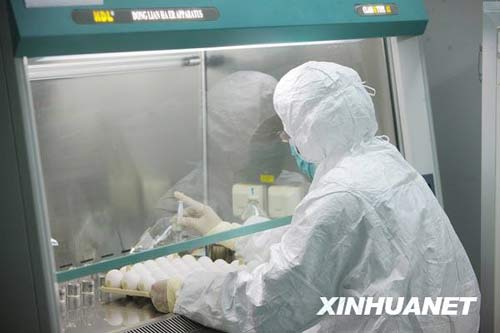 6月8日，科研人員在進(jìn)行毒株種子批的制備工作。新華社記者 邢廣利 攝