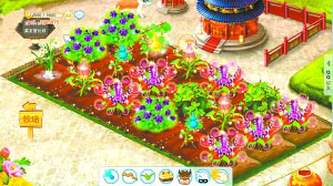 曾經(jīng)風(fēng)靡一時的“偷菜”可能被取消。圖為一位QQ好友在農(nóng)場“種”的菜。