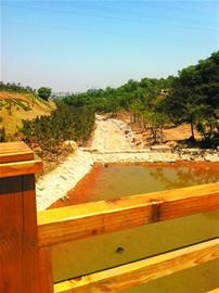 浮山北麓添新景觀 打造1.6萬平親水樂園 浮山北麓添新景觀 打造1.6萬平親水樂園