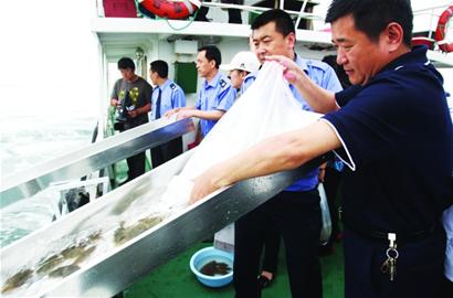 青島161萬小魚軍團(tuán)放流大海 青島161萬小魚軍團(tuán)放流大海