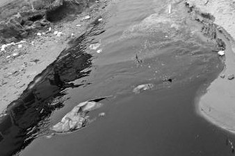 黑色的污水通過明渠直接流入大海。