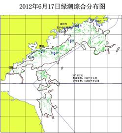 青島8船巡海深入滸穴探綠潮