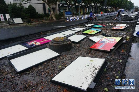 強臺風?？貏?chuàng)杭州 吹斷電線桿拔起大樹