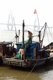 開(kāi)海前的情景。 