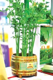 瑯琊雞蛋論個賣一個2.5元 韭菜被搶購一空 瑯琊雞蛋論個賣一個2.5元 韭菜被搶購一空