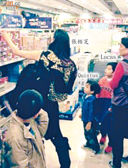 張柏芝挑選玩具時，Lucas與Quintus凝視著