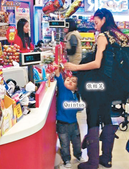 張柏芝在柜面付款，Quintus也要查看一番