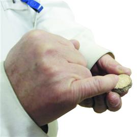 10年老參不如蘿卜神奇靈芝難敵蘑菇 10年老參不如蘿卜神奇靈芝難敵蘑菇