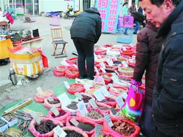 10年老參不如蘿卜神奇靈芝難敵蘑菇 10年老參不如蘿卜神奇靈芝難敵蘑菇