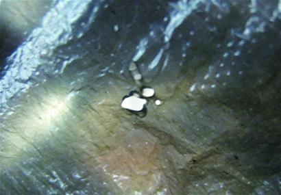 激光筆5米外點(diǎn)鞭炮1秒點(diǎn)火柴 信息城熱賣