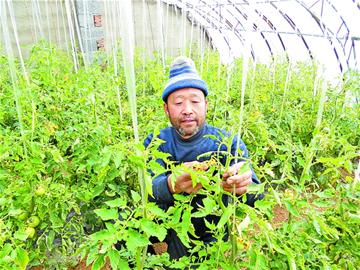 那些年，我們那樣學(xué)雷鋒