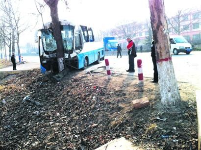 躲過大貨車 沒躲過大樹 躲過大貨車 沒躲過大樹