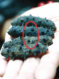 央視曝光南山市場摻糖干海參 央視曝光南山市場摻糖干海參