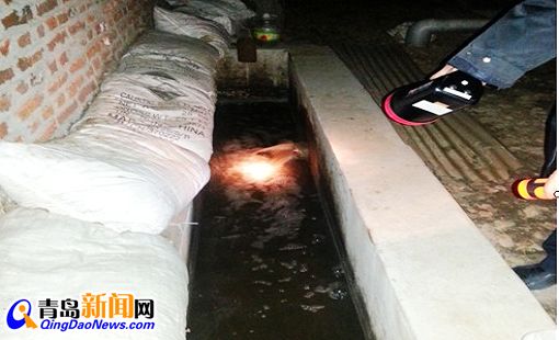 青島圓寶亞麻紡織有限公司違法排污 青島圓寶亞麻紡織有限公司違法排污