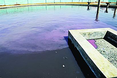 青島多企業(yè)直排污水毒氣 暗紅廢水去向神秘 青島多企業(yè)直排污水毒氣 暗紅廢水去向神秘