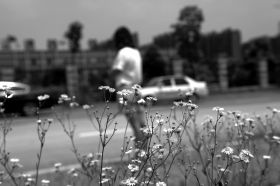 6月8日，岳麓區(qū)杜鵑路附近，黃俊雅稱在這附近練車時(shí)，遭遇教練強(qiáng)吻。圖/記者辜鵬博